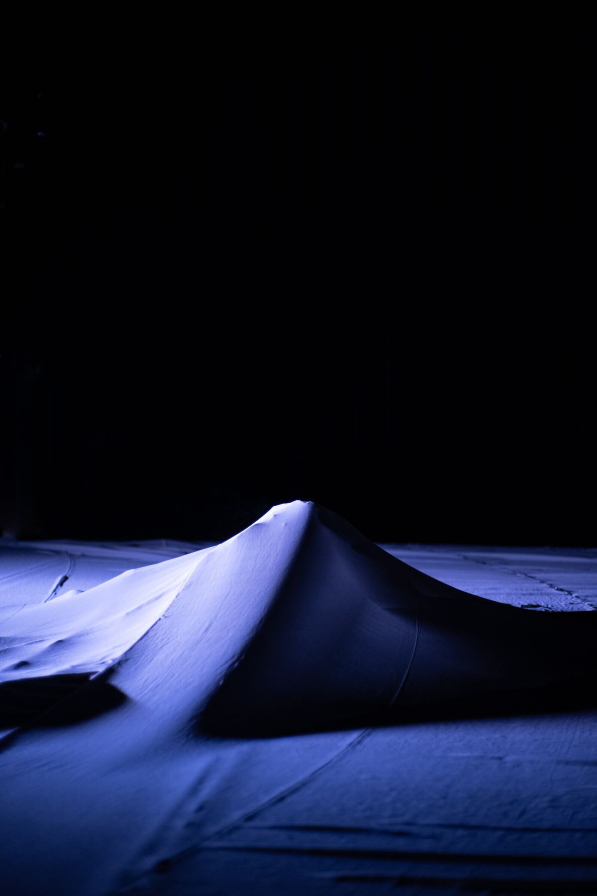 Im Flatterland, photo 5